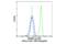 Preferentially Expressed Antigen In Melanoma antibody, 39509S, Cell Signaling Technology, Flow Cytometry image 