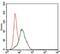 Frizzled Class Receptor 5 antibody, MA5-17080, Invitrogen Antibodies, Flow Cytometry image 