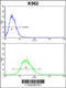 Engrailed Homeobox 2 antibody, 62-927, ProSci, Flow Cytometry image 