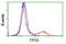 p53 antibody, LS-C172956, Lifespan Biosciences, Flow Cytometry image 