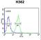 INO80 Complex Subunit B antibody, LS-C165233, Lifespan Biosciences, Flow Cytometry image 