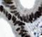 MutS Homolog 6 antibody, LS-C312106, Lifespan Biosciences, Immunohistochemistry frozen image 