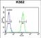 Leucyl-TRNA Synthetase 2, Mitochondrial antibody, PA5-71468, Invitrogen Antibodies, Flow Cytometry image 