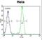 AKT Serine/Threonine Kinase 2 antibody, LS-C98940, Lifespan Biosciences, Flow Cytometry image 