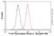 TCF7L2 antibody, ab76151, Abcam, Flow Cytometry image 