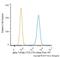 Tubulin Alpha 1a antibody, NB100-1639, Novus Biologicals, Flow Cytometry image 