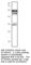 Ras Related Dexamethasone Induced 1 antibody, RASD1-101AP, FabGennix, Western Blot image 