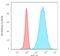 Keratin 8 antibody, GTX34667, GeneTex, Flow Cytometry image 