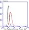 Cadherin 1 antibody, NBP2-67540, Novus Biologicals, Flow Cytometry image 