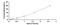 Toll Like Receptor 1 antibody, MBS2018915, MyBioSource, Enzyme Linked Immunosorbent Assay image 