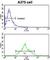 EPH Receptor A7 antibody, abx033523, Abbexa, Western Blot image 