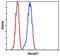 Rho GDP Dissociation Inhibitor Alpha antibody, PA5-17475, Invitrogen Antibodies, Flow Cytometry image 