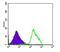 Beclin 1 antibody, ab114071, Abcam, Flow Cytometry image 