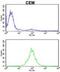 Karyopherin Subunit Beta 1 antibody, abx033002, Abbexa, Flow Cytometry image 