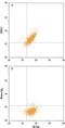 C-X3-C Motif Chemokine Ligand 1 antibody, IC365P, R&D Systems, Flow Cytometry image 