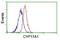 Cytochrome P450 Family 17 Subfamily A Member 1 antibody, NBP2-01151, Novus Biologicals, Flow Cytometry image 
