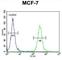 NTPase KAP family P-loop domain-containing protein 1 antibody, abx025986, Abbexa, Western Blot image 