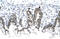 Prohibitin antibody, 27-716, ProSci, Enzyme Linked Immunosorbent Assay image 