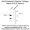 Potassium Voltage-Gated Channel Subfamily B Member 2 antibody, NB300-261, Novus Biologicals, Western Blot image 