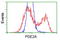 Phosphodiesterase 2A antibody, LS-B10450, Lifespan Biosciences, Flow Cytometry image 