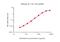 Interleukin 12B antibody, GTX02954-02, GeneTex, Enzyme Linked Immunosorbent Assay image 