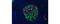 Insulin antibody, 53-9769-80, Invitrogen Antibodies, Immunofluorescence image 