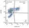 Integrin Subunit Alpha E antibody, NBP1-97568, Novus Biologicals, Flow Cytometry image 