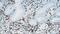 CD16 antibody, GTX75391, GeneTex, Immunohistochemistry paraffin image 