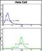 Signal Recognition Particle 72 antibody, PA5-49601, Invitrogen Antibodies, Flow Cytometry image 