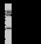 MyD10 antibody, 80022-T60, Sino Biological, Western Blot image 