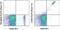 CD8b Molecule antibody, 46-0083-80, Invitrogen Antibodies, Flow Cytometry image 