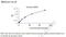 G Protein Subunit Gamma 8 antibody, MBS2602667, MyBioSource, Enzyme Linked Immunosorbent Assay image 