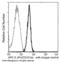 Interleukin 1 Receptor Type 1 antibody, 50807-R191-A, Sino Biological, Flow Cytometry image 