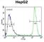 Glycerol-3-Phosphate Acyltransferase, Mitochondrial antibody, abx025609, Abbexa, Western Blot image 