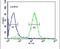 Orosomucoid 1 antibody, PA5-13472, Invitrogen Antibodies, Flow Cytometry image 