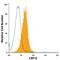 LDL Receptor Related Protein 6 antibody, FAB1505P, R&D Systems, Flow Cytometry image 