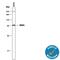 Solute Carrier Family 2 Member 1 antibody, MAB14181, R&D Systems, Western Blot image 