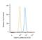 TIMP Metallopeptidase Inhibitor 2 antibody, NBP2-54554F, Novus Biologicals, Flow Cytometry image 