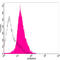 Non-POU Domain Containing Octamer Binding antibody, LS-B14124, Lifespan Biosciences, Flow Cytometry image 