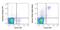 Integrin Subunit Alpha 2 antibody, GTX01474-02, GeneTex, Flow Cytometry image 