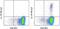 Interleukin 17F antibody, 25-7169-42, Invitrogen Antibodies, Flow Cytometry image 