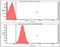 Fumarate Hydratase antibody, GTX57625, GeneTex, Flow Cytometry image 