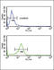 Opioid Receptor Mu 1 antibody, LS-C163127, Lifespan Biosciences, Flow Cytometry image 