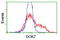 Docking Protein 7 antibody, TA504801BM, Origene, Flow Cytometry image 