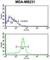 Aldehyde Dehydrogenase 2 Family Member antibody, abx027972, Abbexa, Western Blot image 