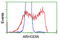 Rho GDP-dissociation inhibitor 1 antibody, TA501089, Origene, Flow Cytometry image 