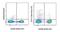 CD11C antibody, 58-0114-80, Invitrogen Antibodies, Flow Cytometry image 