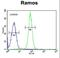 GUCY2D antibody, LS-C166743, Lifespan Biosciences, Flow Cytometry image 