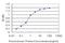 Serum/Glucocorticoid Regulated Kinase 2 antibody, H00010110-M09, Novus Biologicals, Enzyme Linked Immunosorbent Assay image 