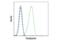 Podoplanin antibody, 9047S, Cell Signaling Technology, Flow Cytometry image 